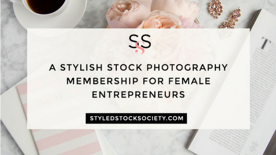 Styled Stock Society Banner