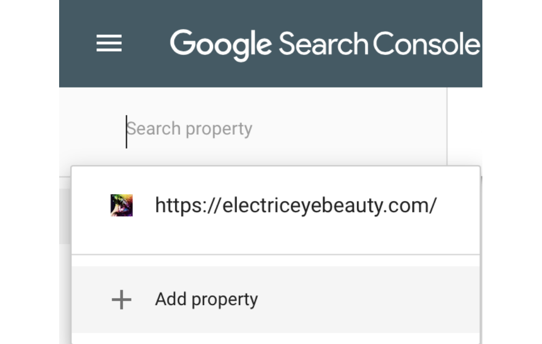 Click the add property option to add the additional website URL'S.